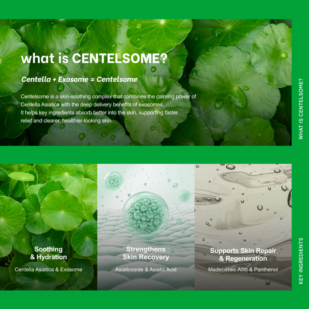 Centella Asiatica Moisturizer Cream 50ml Korean Skincare Face Lotion Ceramide Moisture 5X Soothing Exosome