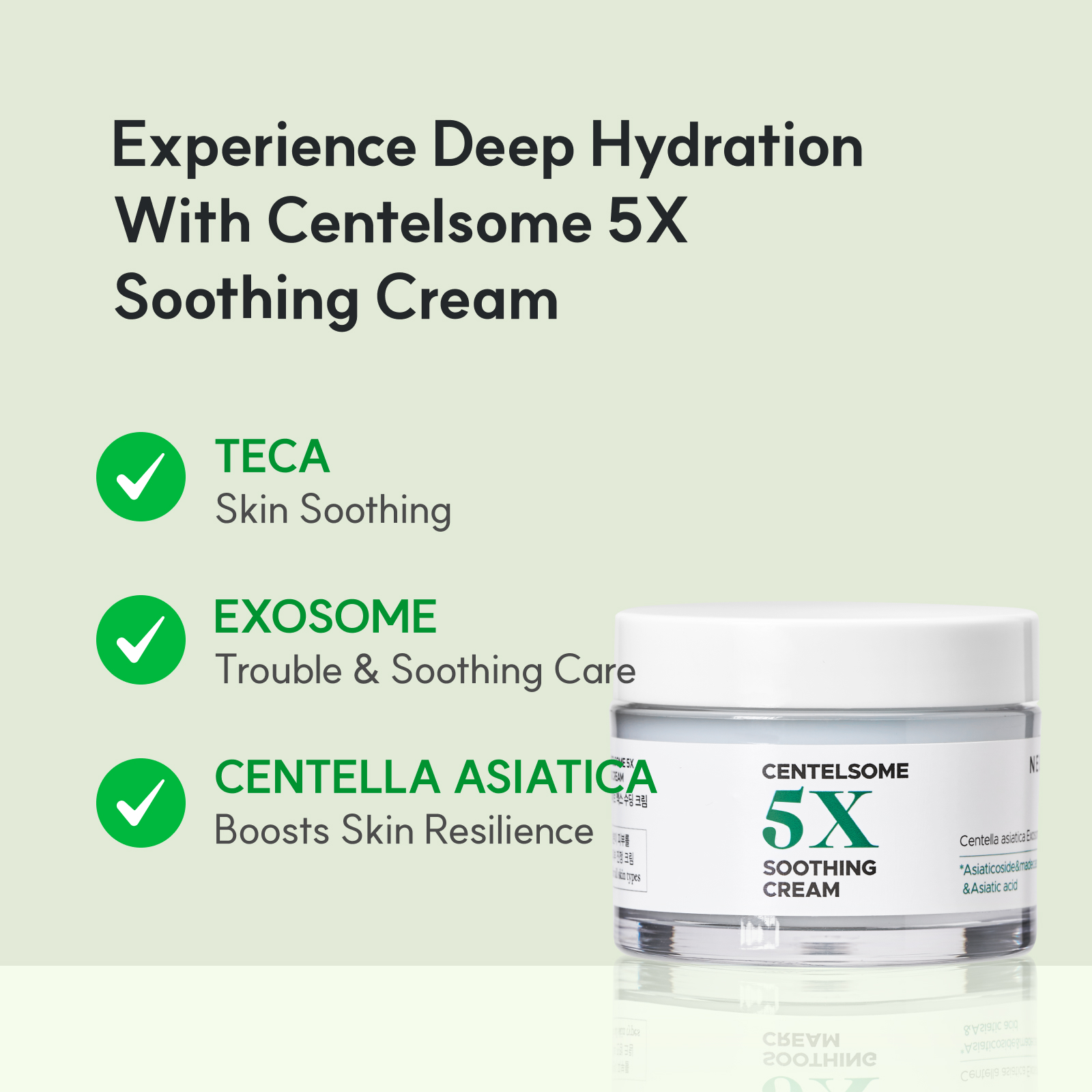Centella Asiatica Moisturizer Cream 50ml Korean Skincare Face Lotion Ceramide Moisture 5X Soothing Exosome